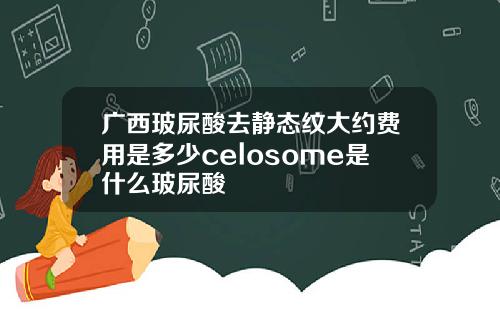 广西玻尿酸去静态纹大约费用是多少celosome是什么玻尿酸