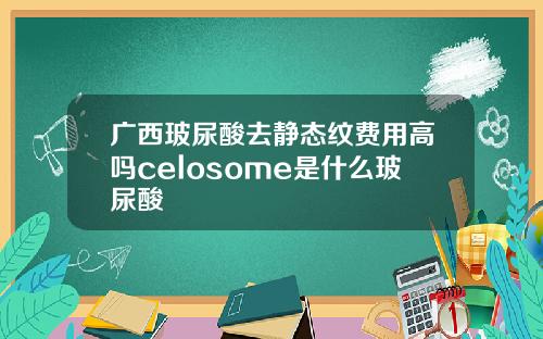 广西玻尿酸去静态纹费用高吗celosome是什么玻尿酸