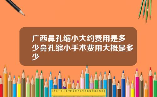 广西鼻孔缩小大约费用是多少鼻孔缩小手术费用大概是多少