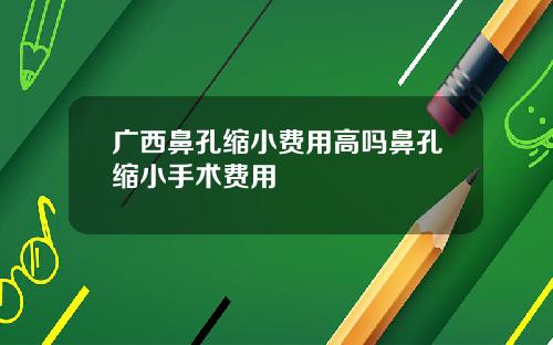 广西鼻孔缩小费用高吗鼻孔缩小手术费用