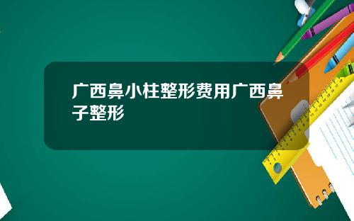 广西鼻小柱整形费用广西鼻子整形