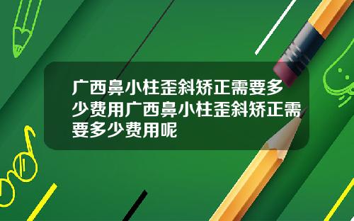 广西鼻小柱歪斜矫正需要多少费用广西鼻小柱歪斜矫正需要多少费用呢
