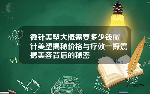 微针美塑大概需要多少钱微针美塑揭秘价格与疗效一探震撼美容背后的秘密