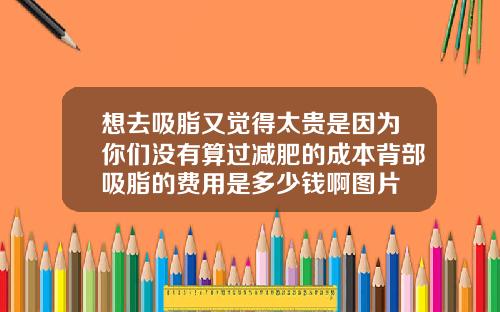 想去吸脂又觉得太贵是因为你们没有算过减肥的成本背部吸脂的费用是多少钱啊图片