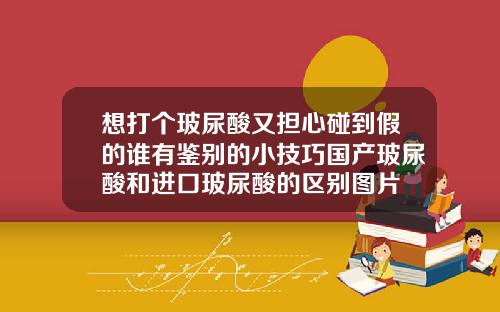 想打个玻尿酸又担心碰到假的谁有鉴别的小技巧国产玻尿酸和进口玻尿酸的区别图片