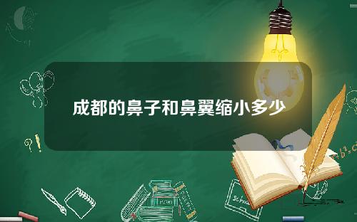 成都的鼻子和鼻翼缩小多少