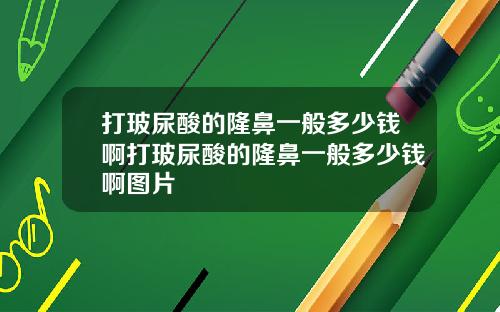 打玻尿酸的隆鼻一般多少钱啊打玻尿酸的隆鼻一般多少钱啊图片