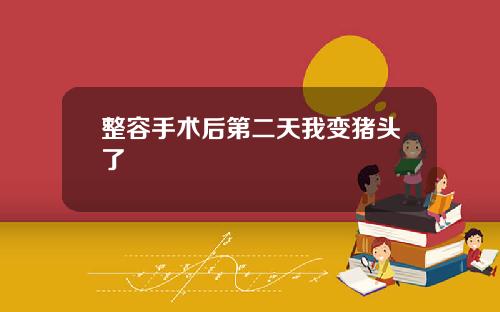 整容手术后第二天我变猪头了