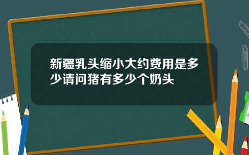 新疆乳头缩小大约费用是多少请问猪有多少个奶头