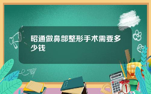 昭通做鼻部整形手术需要多少钱