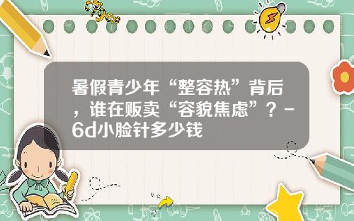 暑假青少年“整容热”背后，谁在贩卖“容貌焦虑”？-6d小脸针多少钱