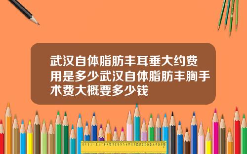 武汉自体脂肪丰耳垂大约费用是多少武汉自体脂肪丰胸手术费大概要多少钱