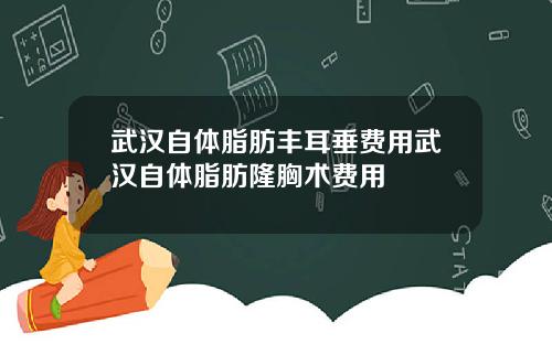 武汉自体脂肪丰耳垂费用武汉自体脂肪隆胸术费用