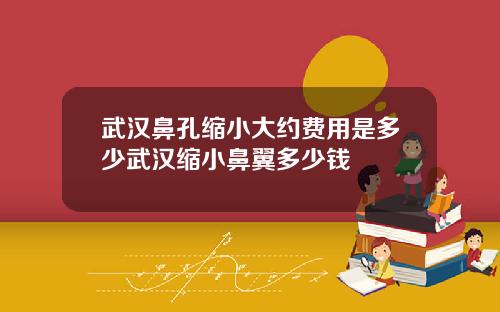 武汉鼻孔缩小大约费用是多少武汉缩小鼻翼多少钱