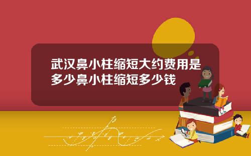 武汉鼻小柱缩短大约费用是多少鼻小柱缩短多少钱