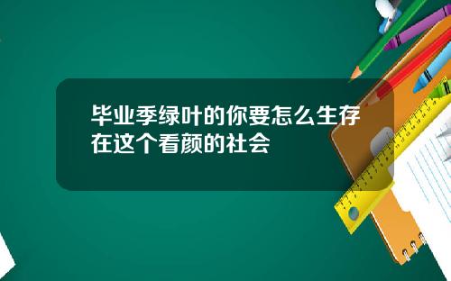 毕业季绿叶的你要怎么生存在这个看颜的社会