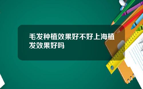 毛发种植效果好不好上海植发效果好吗