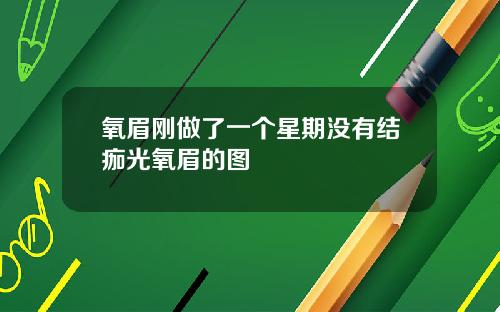氧眉刚做了一个星期没有结痂光氧眉的图