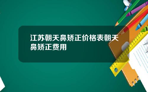 江苏朝天鼻矫正价格表朝天鼻矫正费用