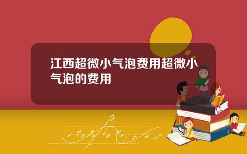 江西超微小气泡费用超微小气泡的费用