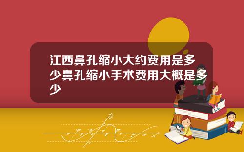 江西鼻孔缩小大约费用是多少鼻孔缩小手术费用大概是多少