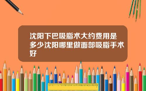 沈阳下巴吸脂术大约费用是多少沈阳哪里做面部吸脂手术好