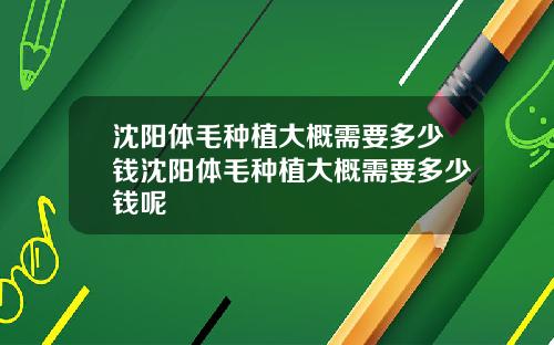 沈阳体毛种植大概需要多少钱沈阳体毛种植大概需要多少钱呢