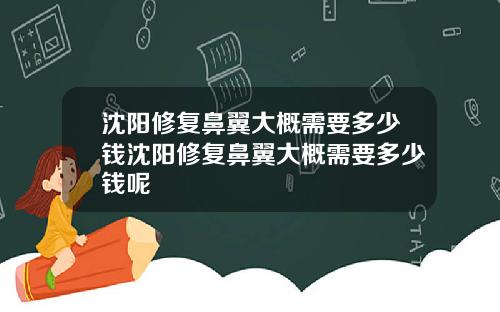 沈阳修复鼻翼大概需要多少钱沈阳修复鼻翼大概需要多少钱呢