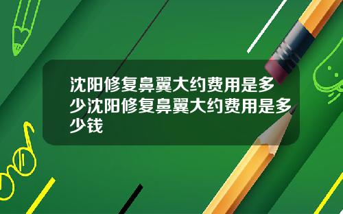 沈阳修复鼻翼大约费用是多少沈阳修复鼻翼大约费用是多少钱