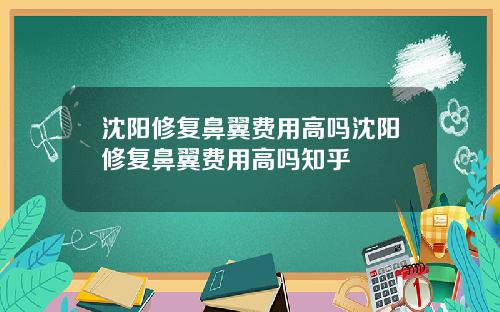 沈阳修复鼻翼费用高吗沈阳修复鼻翼费用高吗知乎