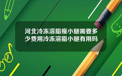 河北冷冻溶脂瘦小腿需要多少费用冷冻溶脂小腿有用吗