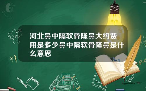河北鼻中隔软骨隆鼻大约费用是多少鼻中隔软骨隆鼻是什么意思