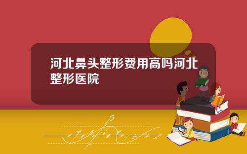 河北鼻头整形费用高吗河北整形医院