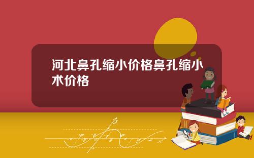 河北鼻孔缩小价格鼻孔缩小术价格