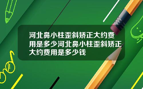 河北鼻小柱歪斜矫正大约费用是多少河北鼻小柱歪斜矫正大约费用是多少钱