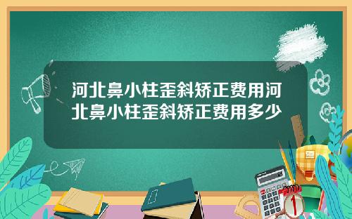 河北鼻小柱歪斜矫正费用河北鼻小柱歪斜矫正费用多少