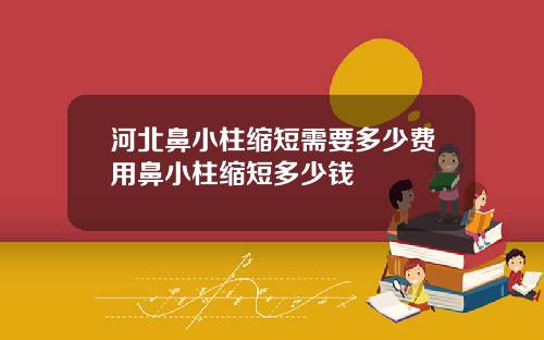 河北鼻小柱缩短需要多少费用鼻小柱缩短多少钱