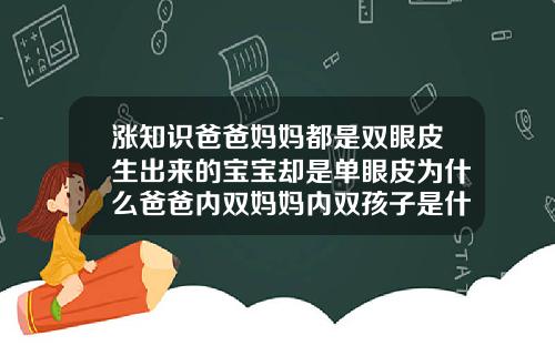 涨知识爸爸妈妈都是双眼皮生出来的宝宝却是单眼皮为什么爸爸内双妈妈内双孩子是什么