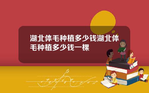 湖北体毛种植多少钱湖北体毛种植多少钱一棵