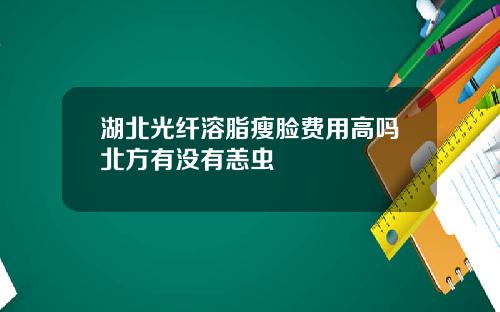 湖北光纤溶脂瘦脸费用高吗北方有没有恙虫