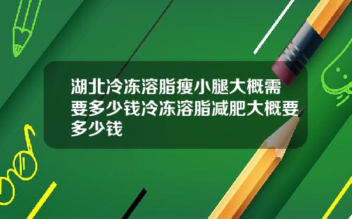 湖北冷冻溶脂瘦小腿大概需要多少钱冷冻溶脂减肥大概要多少钱