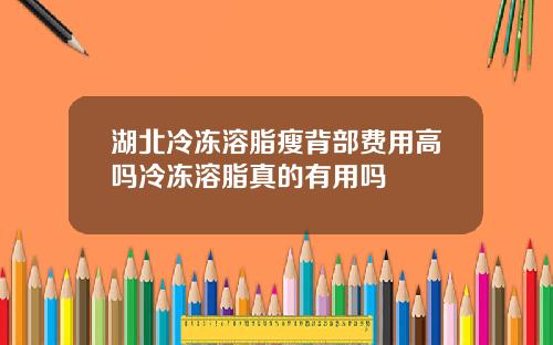 湖北冷冻溶脂瘦背部费用高吗冷冻溶脂真的有用吗