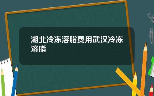 湖北冷冻溶脂费用武汉冷冻溶脂