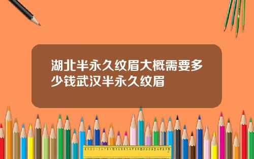 湖北半永久纹眉大概需要多少钱武汉半永久纹眉