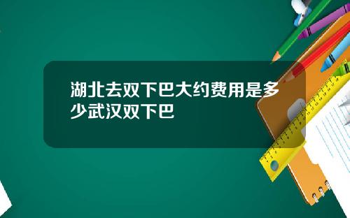 湖北去双下巴大约费用是多少武汉双下巴