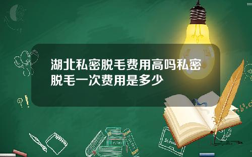 湖北私密脱毛费用高吗私密脱毛一次费用是多少
