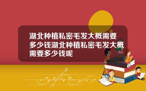 湖北种植私密毛发大概需要多少钱湖北种植私密毛发大概需要多少钱呢