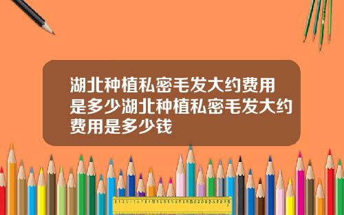 湖北种植私密毛发大约费用是多少湖北种植私密毛发大约费用是多少钱