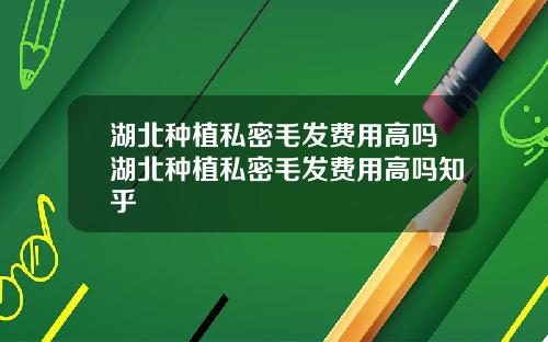 湖北种植私密毛发费用高吗湖北种植私密毛发费用高吗知乎