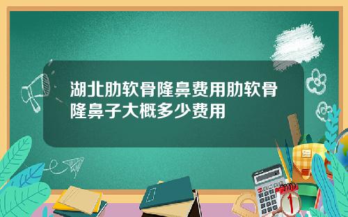 湖北肋软骨隆鼻费用肋软骨隆鼻子大概多少费用